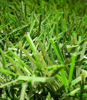 um�l� v�no�n� strome�ek na v�noce